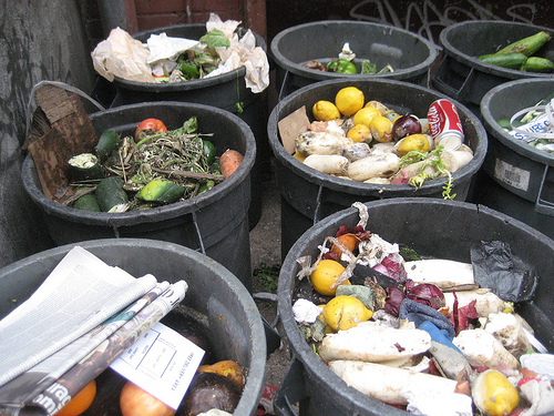 Portare fuori la spazzatura: 3 miti • Sustainablog